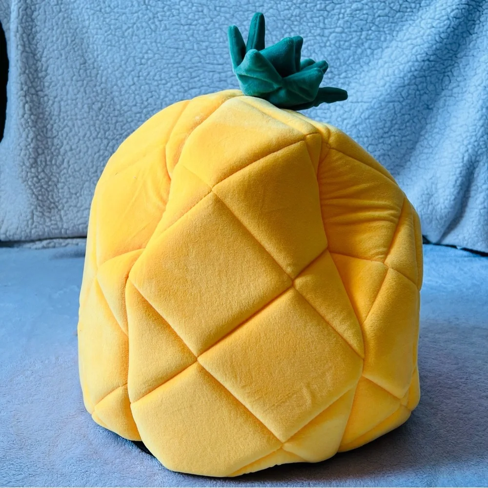 Pineapple Small Pet Bed (NWOT)